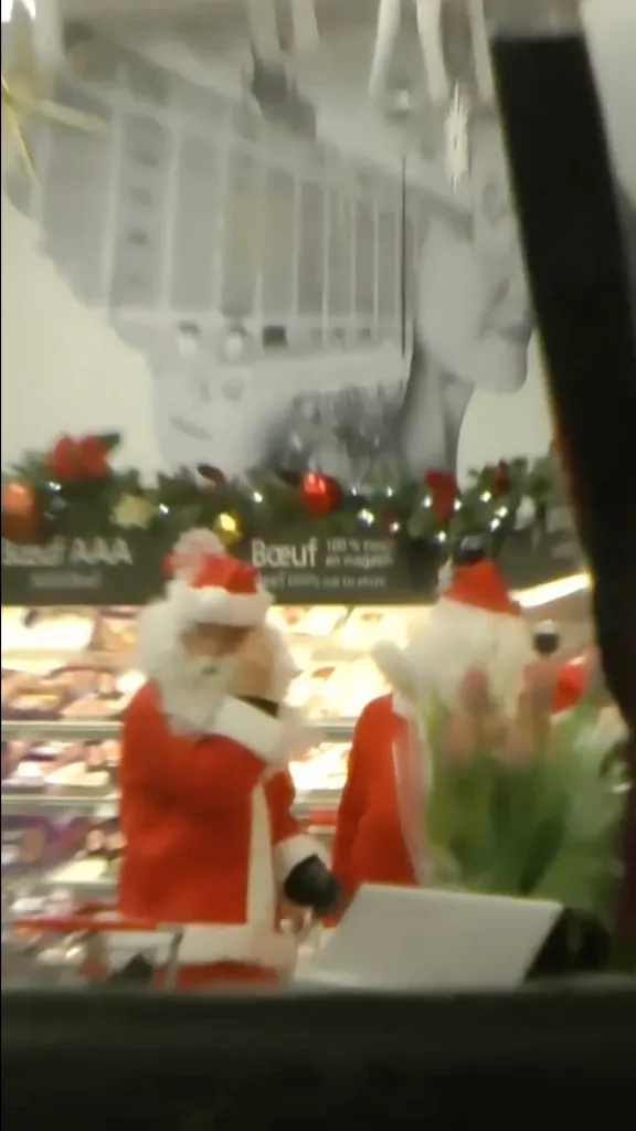 A group of masked thieves dressed as Santa Claus and his elves was caught on camera storming a Canadian grocery store and stealing carts of food